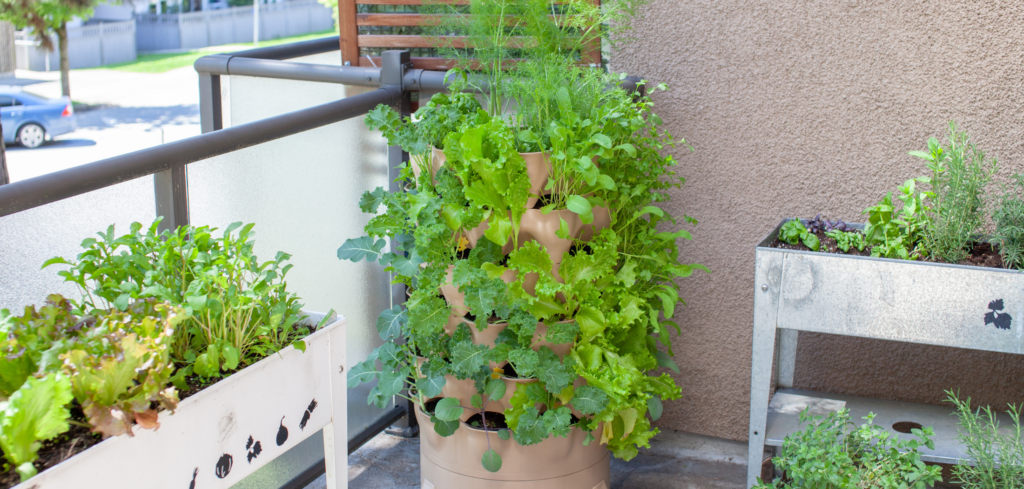 starting a garden on a balcony